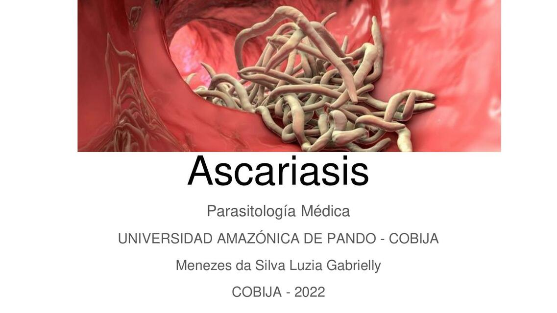 Ascaris Lumbricoides