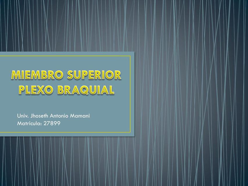 Miembro superior plexo braquial