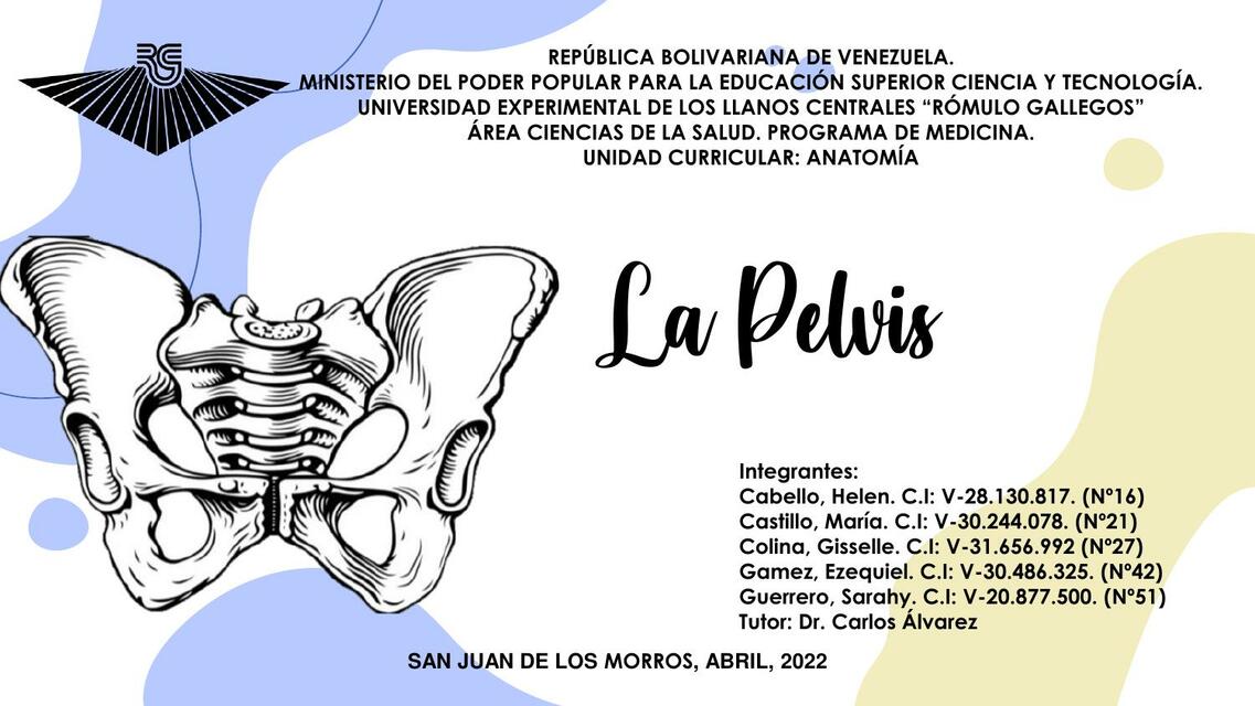 La Pelvis 