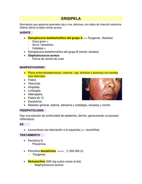 Enfermedades Infecciosas