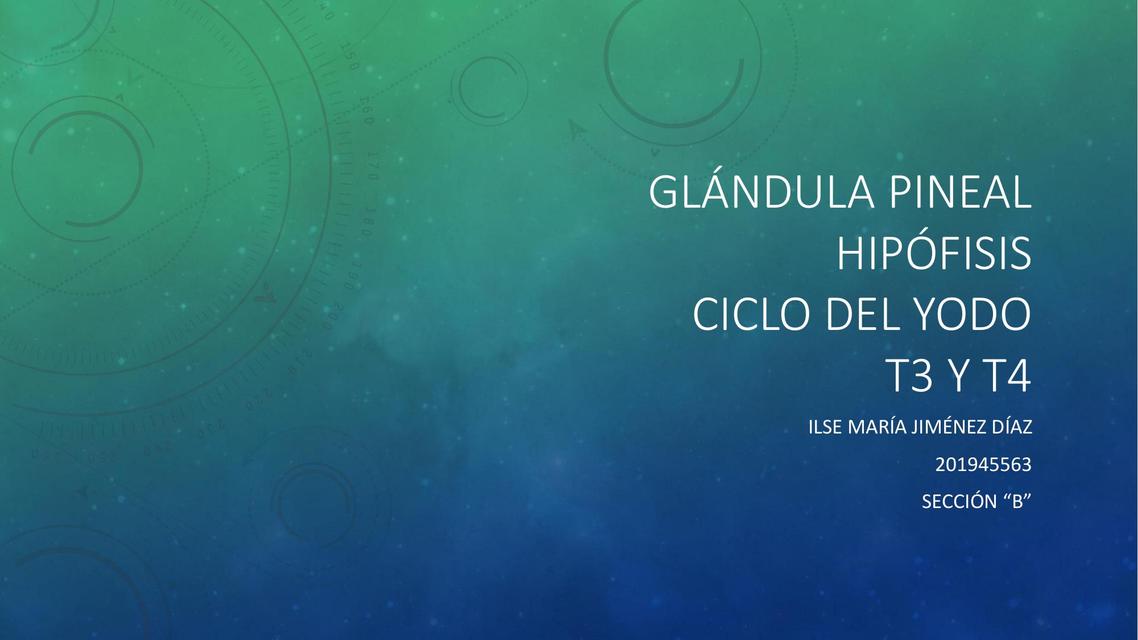 Glándula Pineal, Hipófisis, Ciclo del Yodo y Hormonas T3 y T4