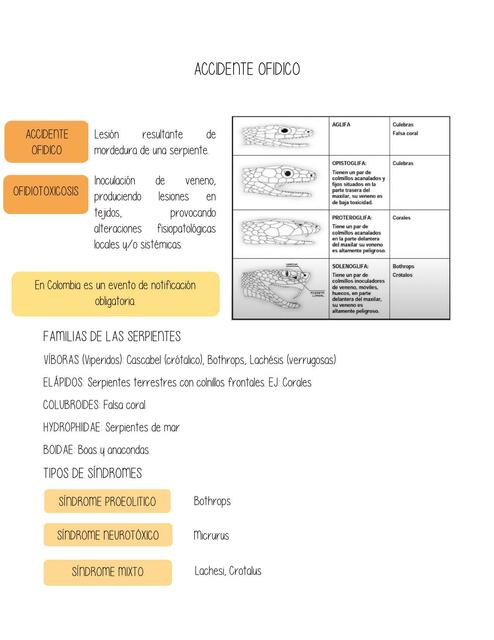  Accidente Ofidico