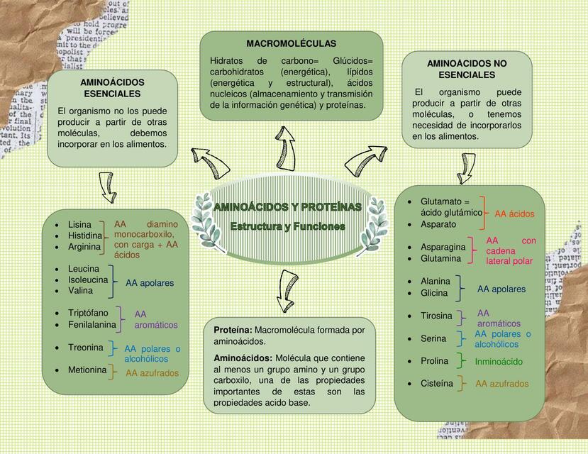 MACROMELÉCULAS