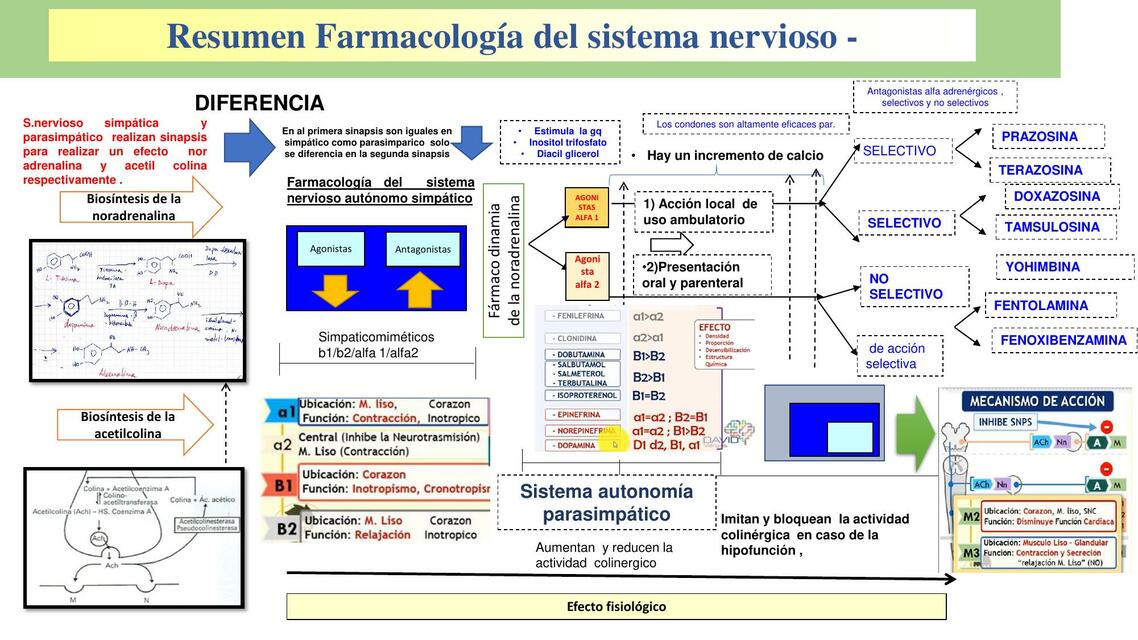 Resumen Farmacología del Sistema Nervioso