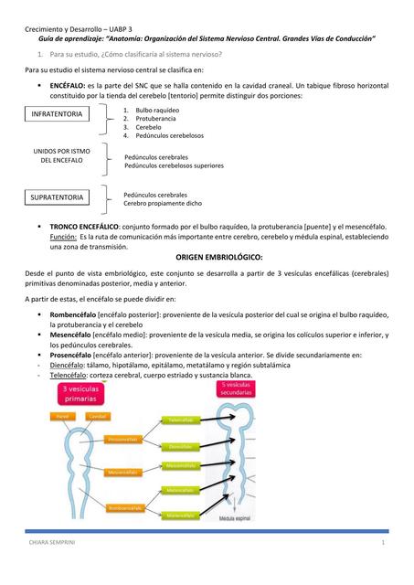 Generalidades del Sistema Nervioso Central