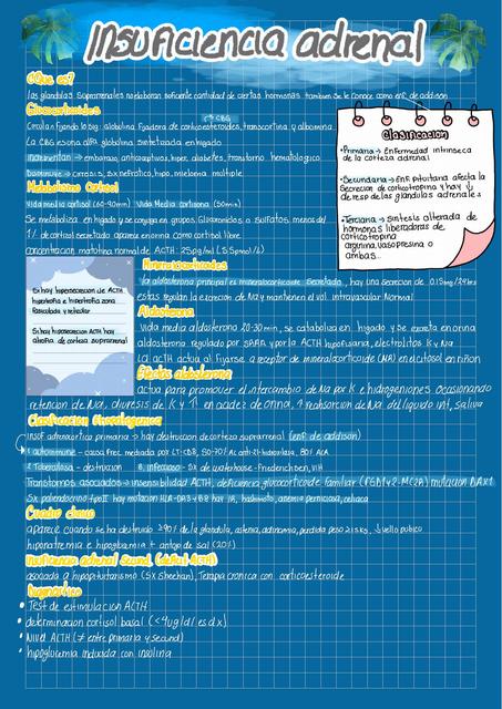 Insuficiencia Adrenal