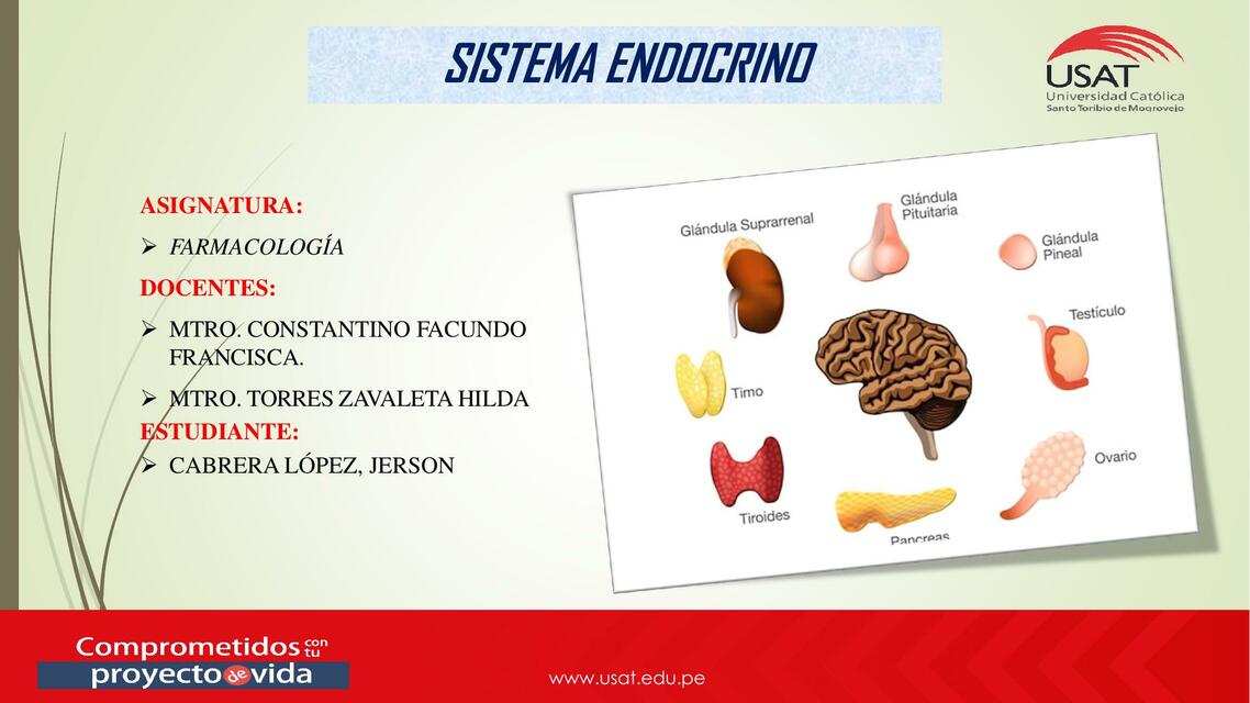 SISTEMA ENDOCRINO