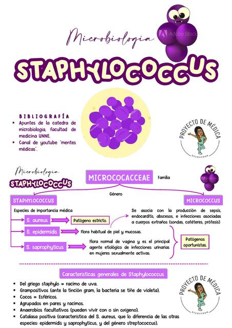 Staphylococcus Microbiología