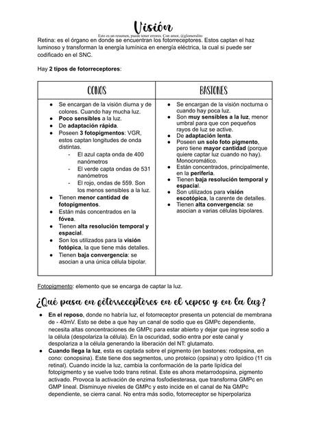 Fisiología De La Visión Glomerulito Udocz