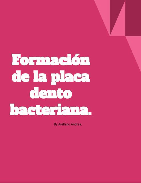 Formación de la Placa Dentobacteriana.