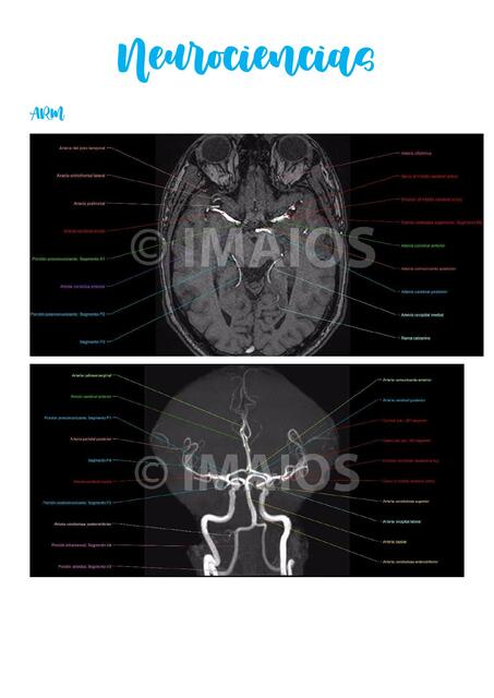 Neurociencias