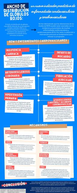 Ancho de distribución de glóbulos rojos: un nuevo indicador predictivo de enfermedades cardiovasculares y cerebrovasculares