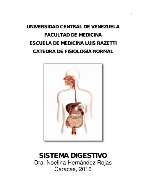 Guía del Sistema Digestivo