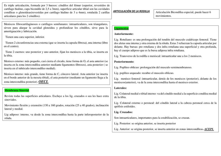 Articulación de la Rodilla 