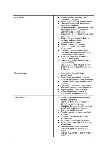 Semanas 6, 7, 8 del desarrollo embrionario