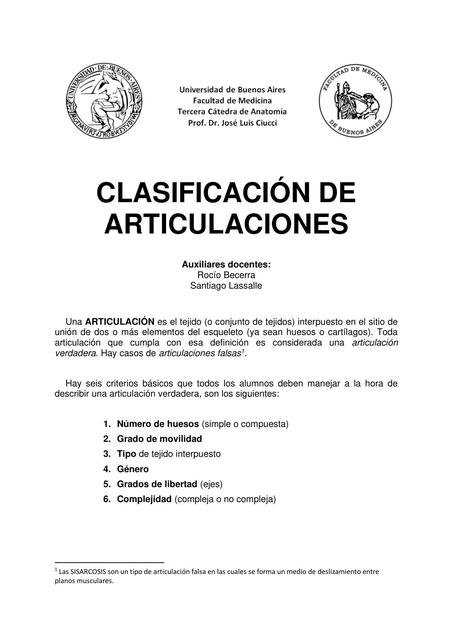 Clasificación de Articulaciones 