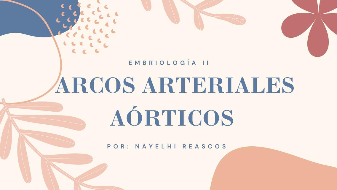 Arcos Aretiales Aórticos