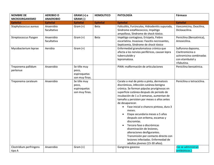 Tabla de Bacterias 