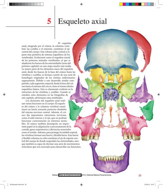 Imágenes del Esqueleto Axial