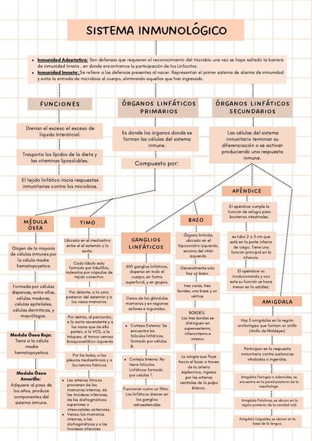 Sistema Inmunológico 