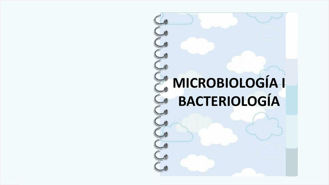 Resumen I de Bacterias 