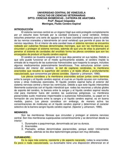 Meninges y Fluido Cerebro Espinal