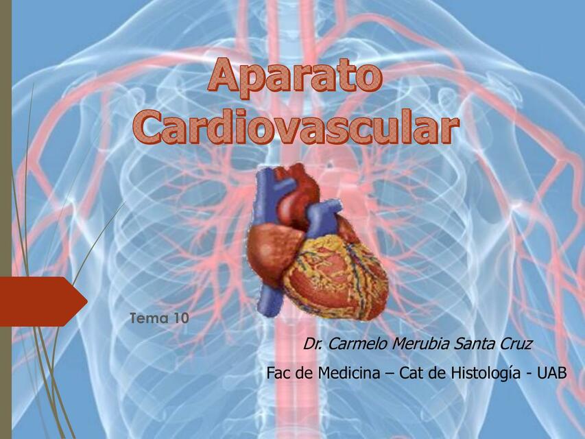 Aparato Cardiovascular