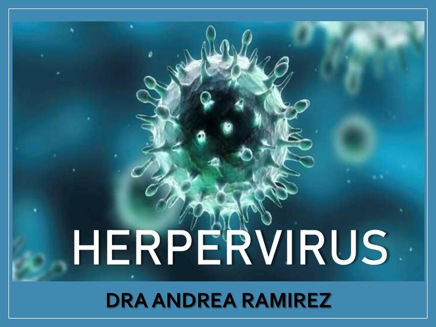 Herpes Virus 