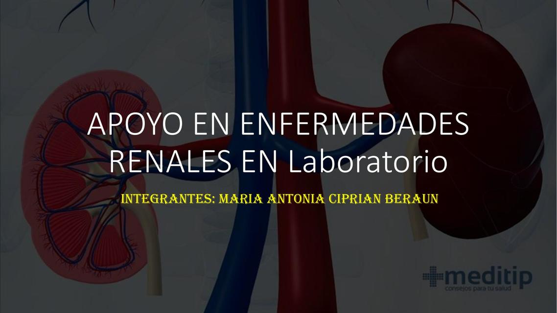 Apoyo en Enfermedades Renales en Laboratorio