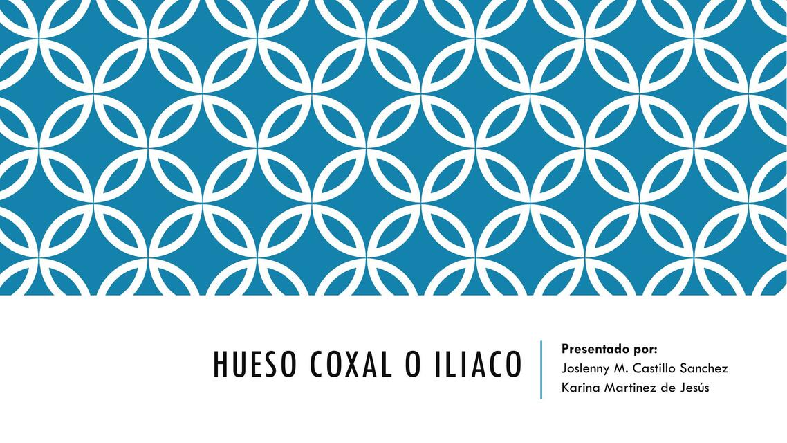 Hueso coxal o iliaco