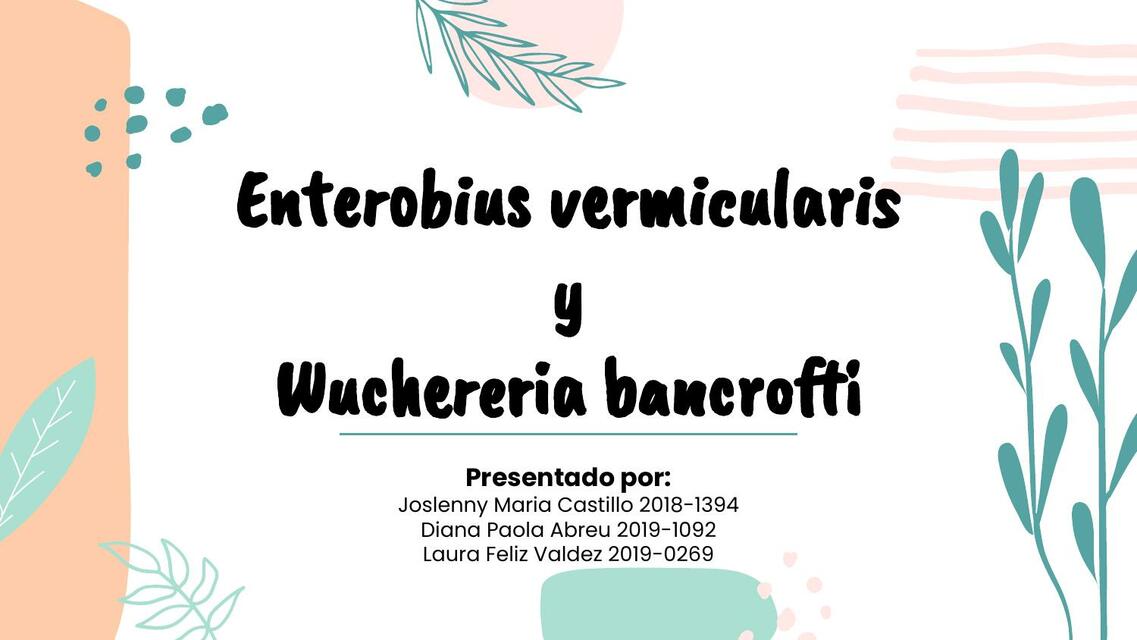 Enterobius y Wuchereira