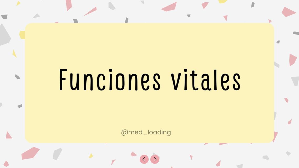  Funciones Vitales