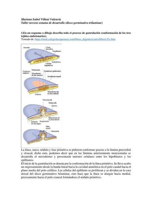 Tercera Semana de Desarrollo