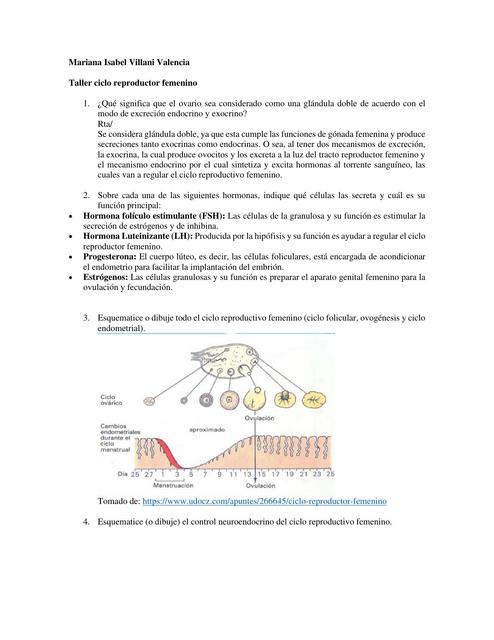 Taller Ciclo Reproductor Femenino