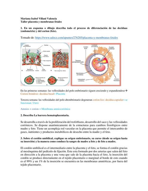 Placenta y Membranas Fetales