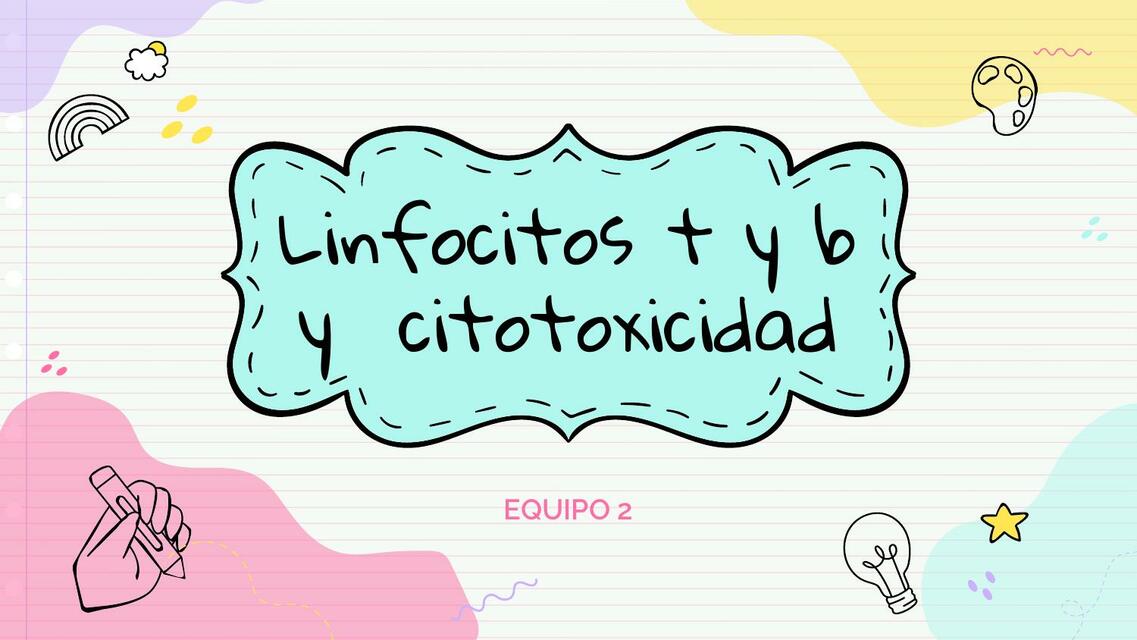 Linfocitos T y B y Citotoxicidad 