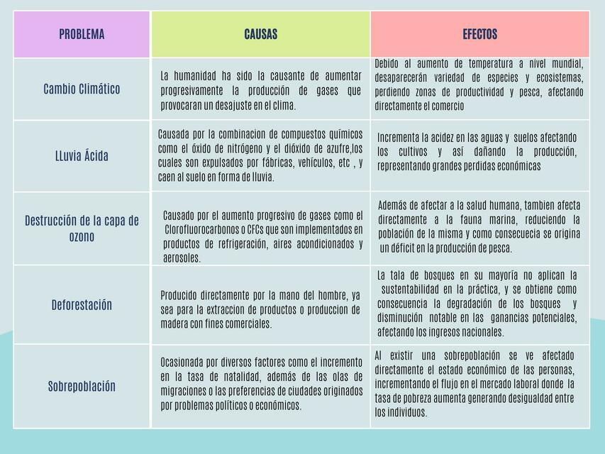 Causas y Efectos del Problema Medioambiental