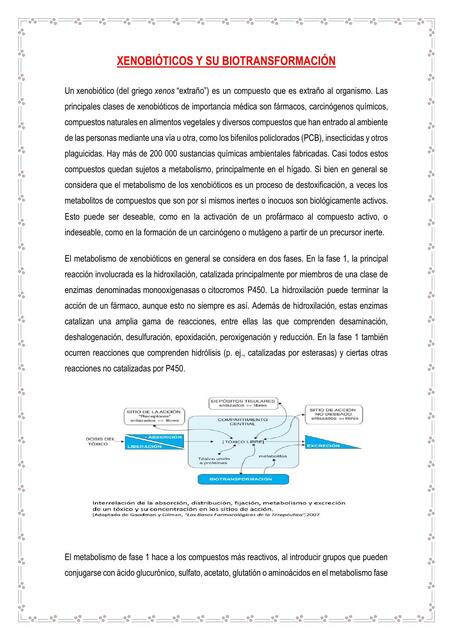 Xenobióticos y su Biotransformación