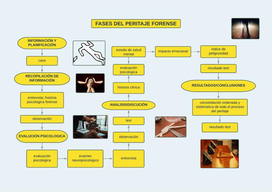 Fases del peritaje forense