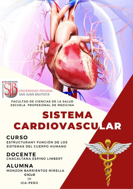 Sistema Cardiovascular 