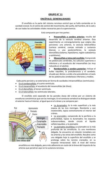 Encéfalo Generalidaes