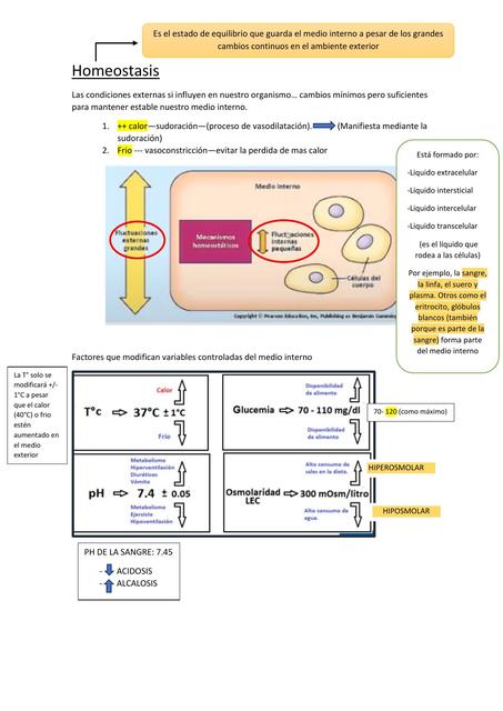 Homeostasis