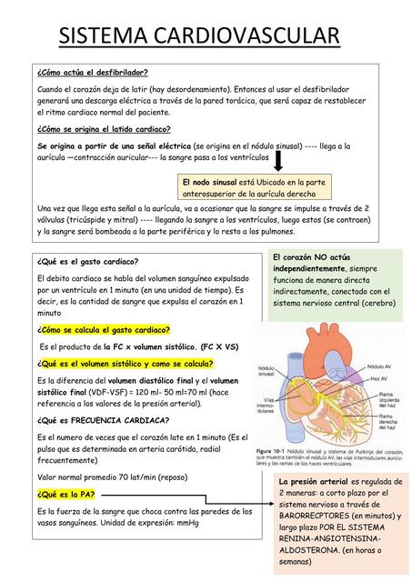 Fisiología del Sistema Cardiovascular