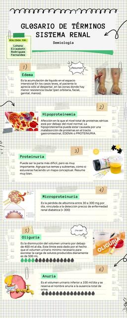 Glosario de Términos- Sistema Renal