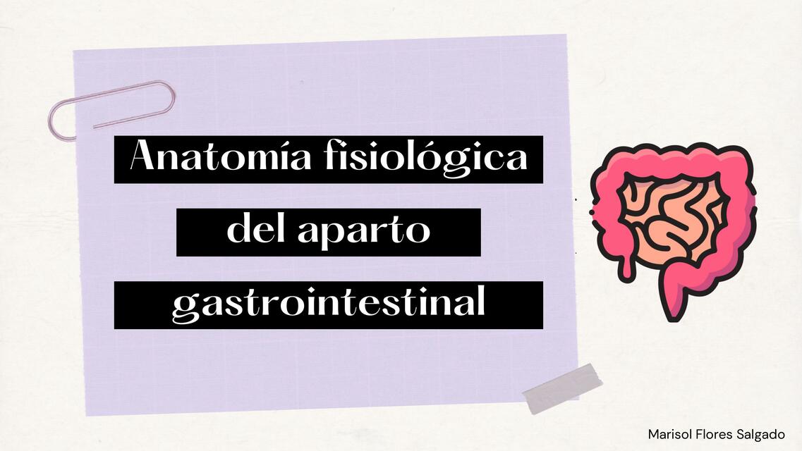 Anatomía Fisiológica del Aparato Gastrointestinal