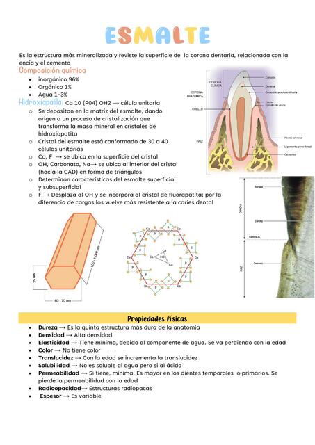 Esmalte Johanna Mendoza Costilla Udocz