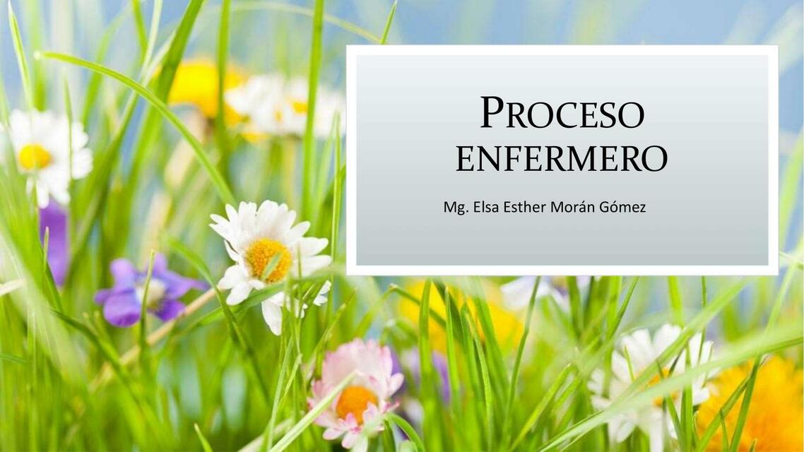 Proceso de Enfermería 