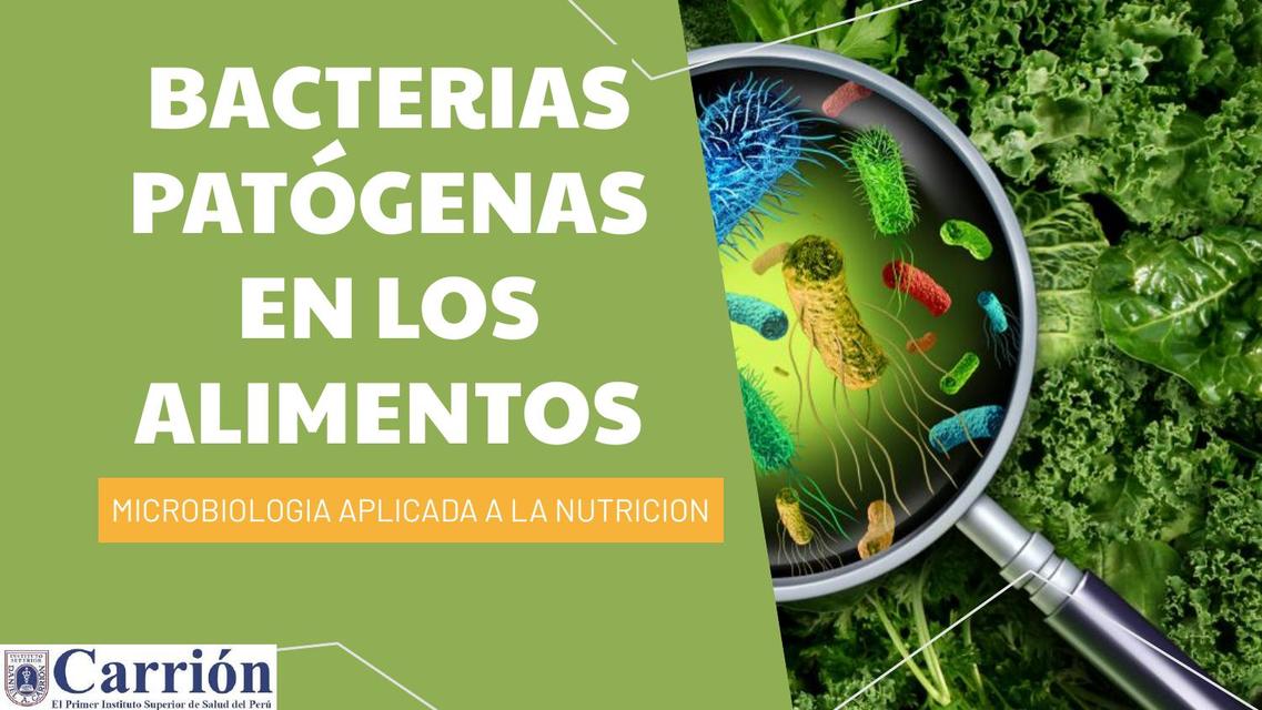 Bacterias Patógenas en Alimentos