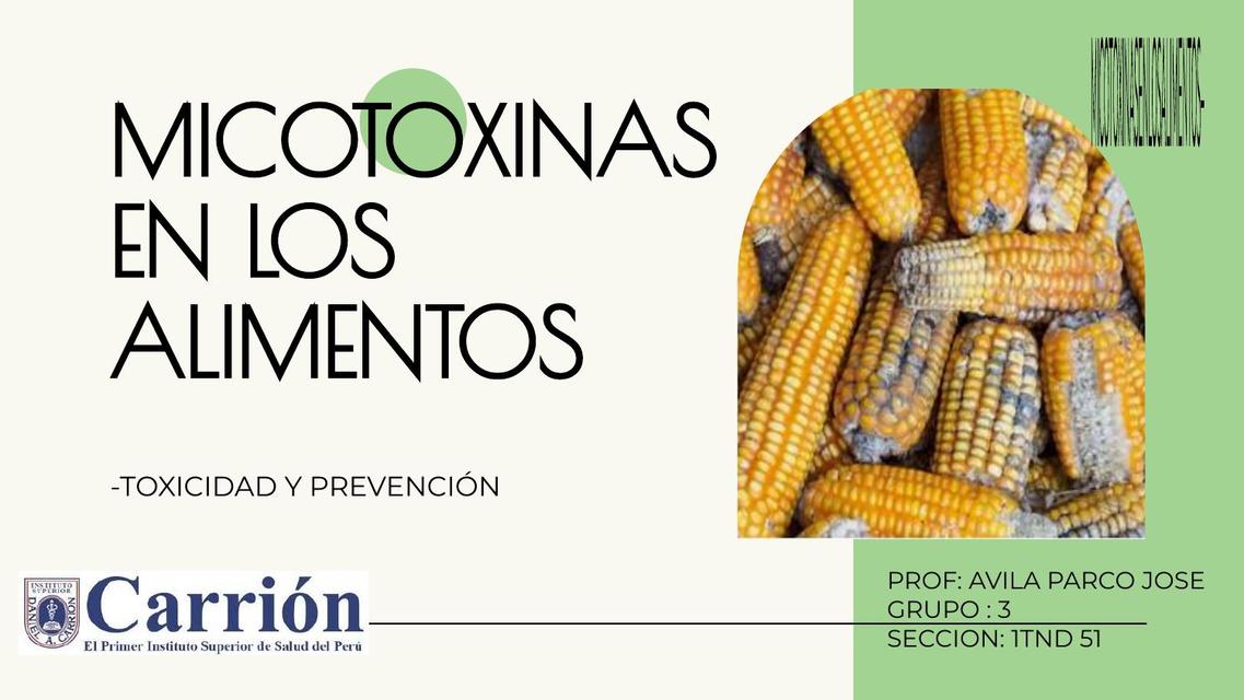 Micotoxinas en los Alimentos