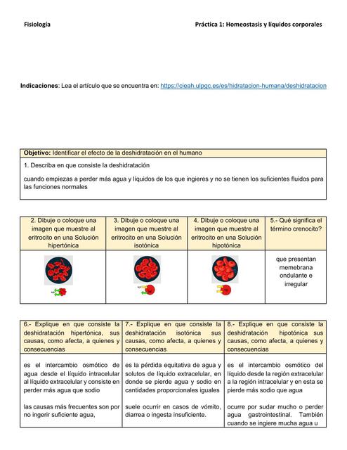 Homeostasis y Líquidos Corporales